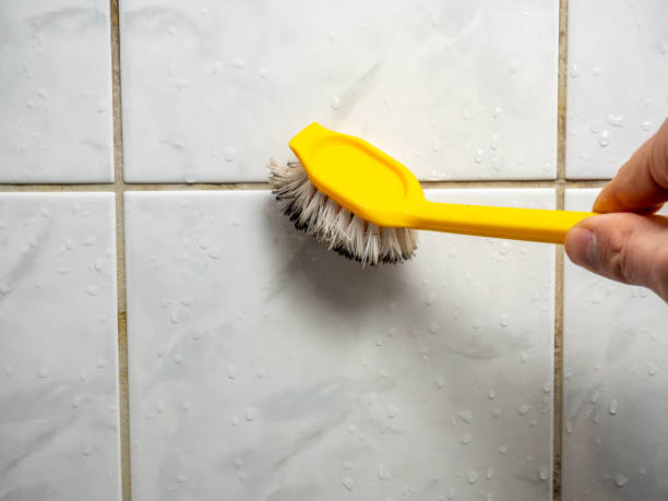 Best Residential Mold Remediation in Lasalle, IL