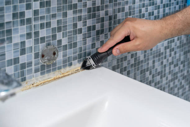 Best Black Mold Remediation in Lasalle, IL